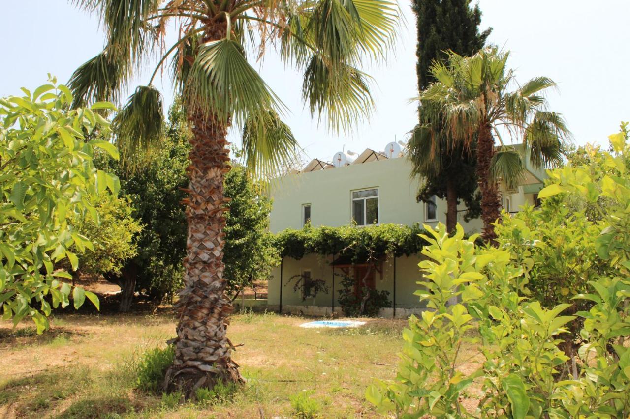 Patara Caretta Hotel Exterior foto